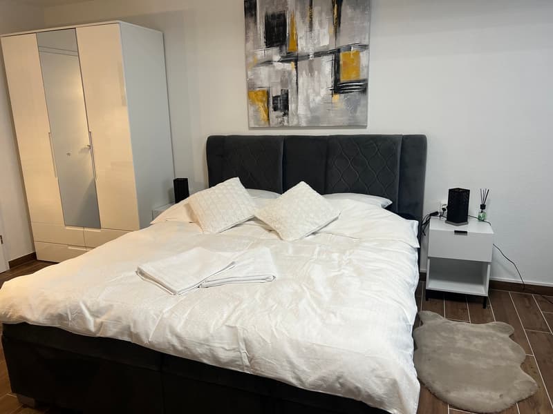 Möbliertes Apartment mit Pool und Fitness (5)