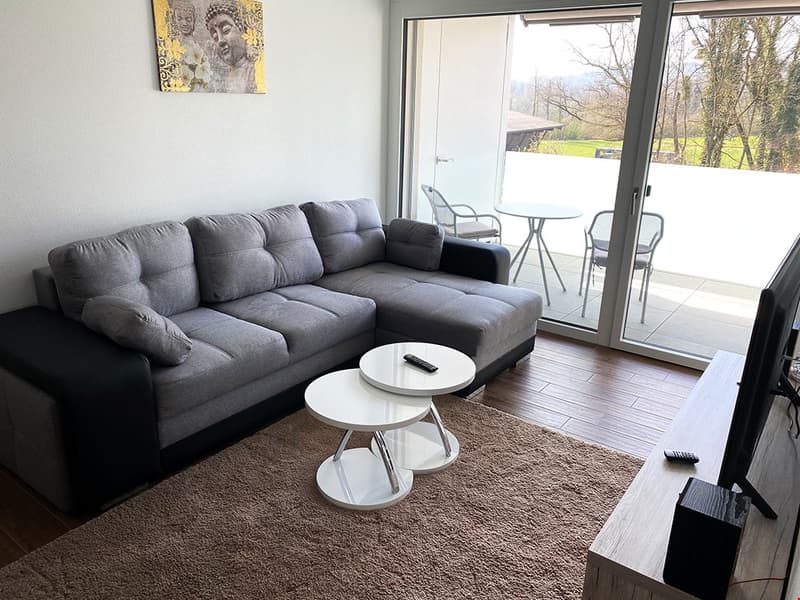 Appartamento arredato con fitness & wellness e piscina inclusi (3)