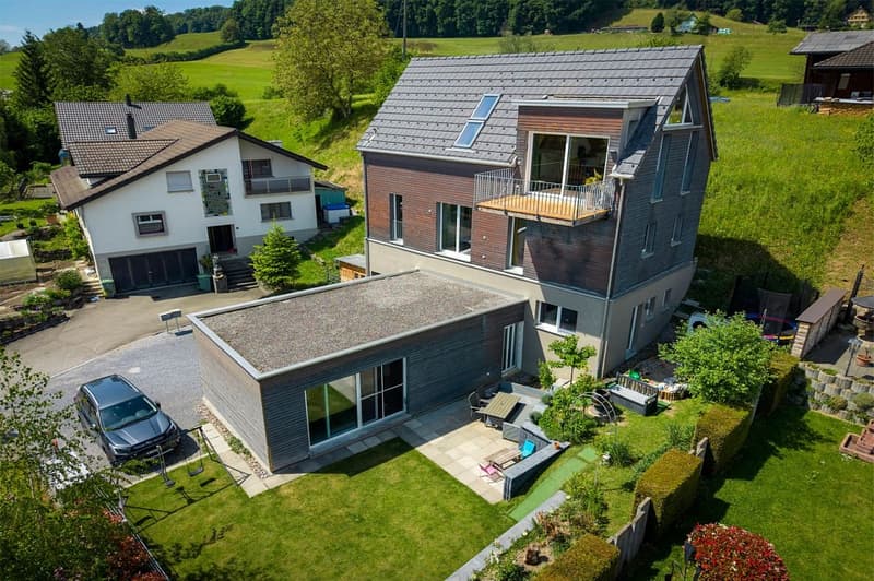 Modern 6.5-room single-family home, studio, and expansion potential (1)