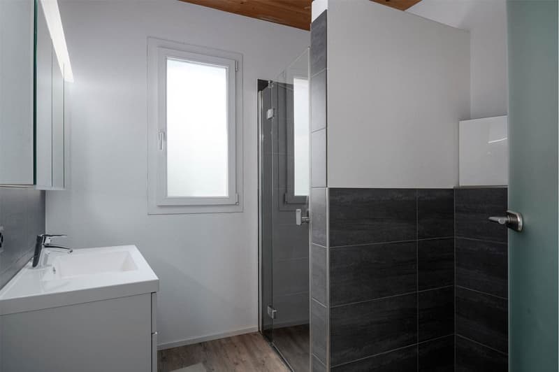 Modern 6.5-room single-family home, studio, and expansion potential (11)