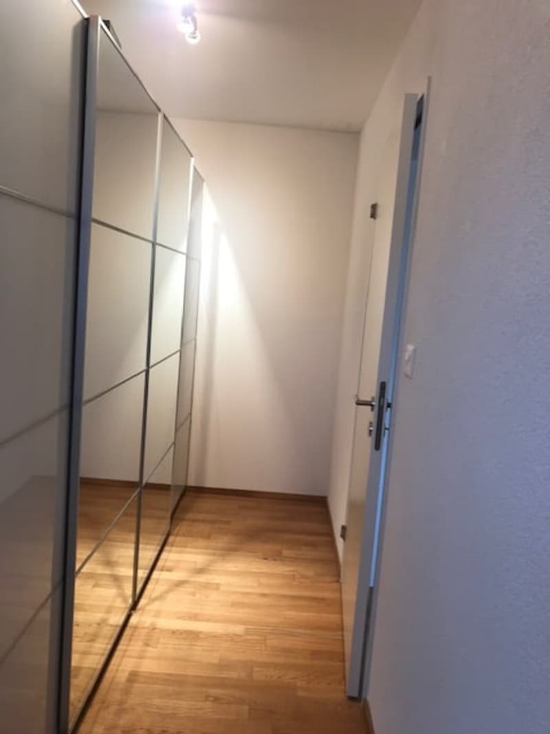 Moderne Dachwohnung im Grünen ! (7)