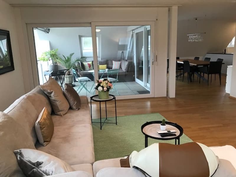 Moderne Dachwohnung im Grünen ! (1)