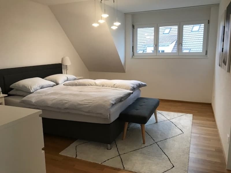 Moderne Dachwohnung im Grünen ! (6)