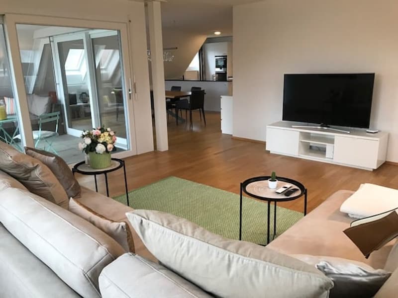 Moderne Dachwohnung im Grünen ! (2)