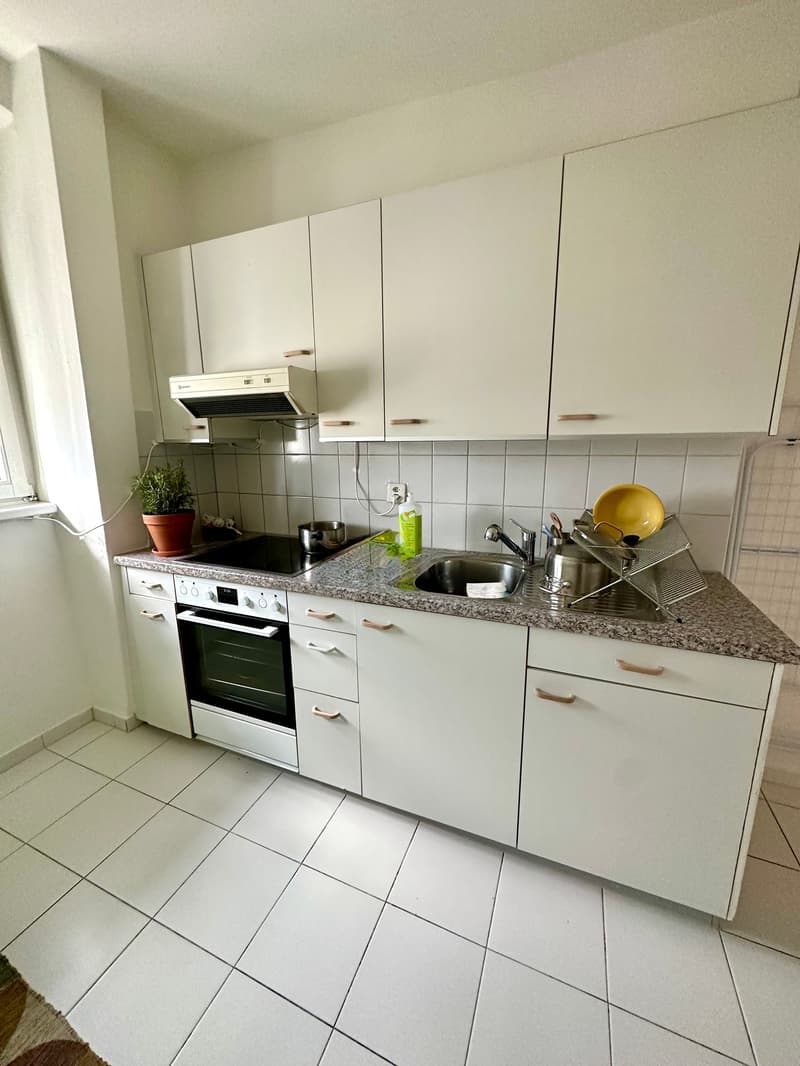 Charmante 3-Zimmer-Wohnung an der Colmarerstrasse in Basel (7)
