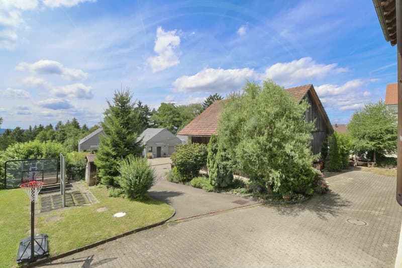 VENDUTO - Casa a schiera di 6½ locali con vista panoramica sulla valle del Reusstal (14)