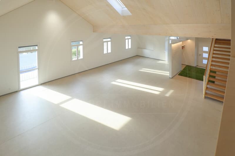 Siège de votre entreprise à Mellingen AG - Espace commercial neuf à louer sur la Reuss (10)