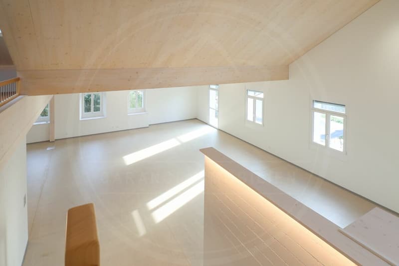 Siège de votre entreprise à Mellingen AG - Espace commercial neuf à louer sur la Reuss (13)