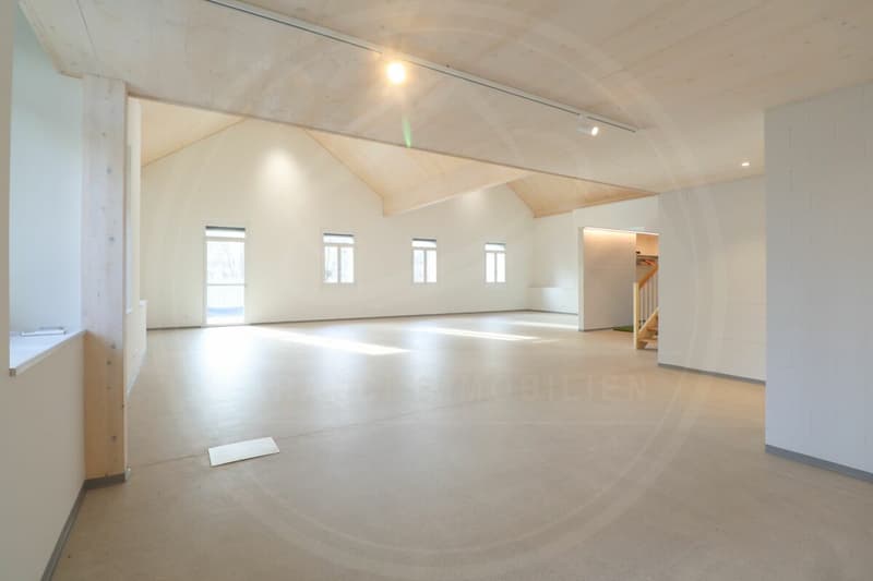 Siège de votre entreprise à Mellingen AG - Espace commercial neuf à louer sur la Reuss (4)