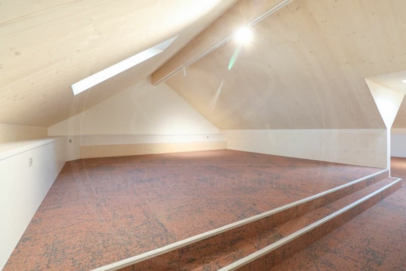 Siège de votre entreprise à Mellingen AG - Espace commercial neuf à louer sur la Reuss (15)