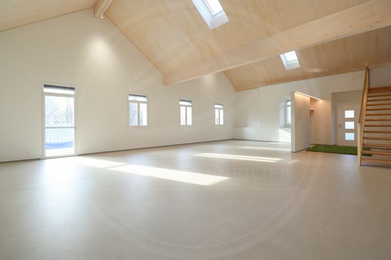 Siège de votre entreprise à Mellingen AG - Espace commercial neuf à louer sur la Reuss (3)