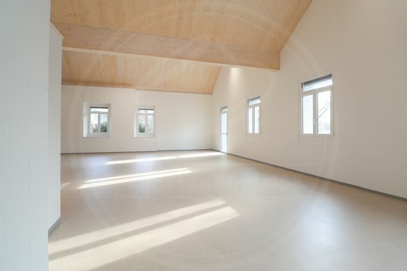 Siège de votre entreprise à Mellingen AG - Espace commercial neuf à louer sur la Reuss (7)