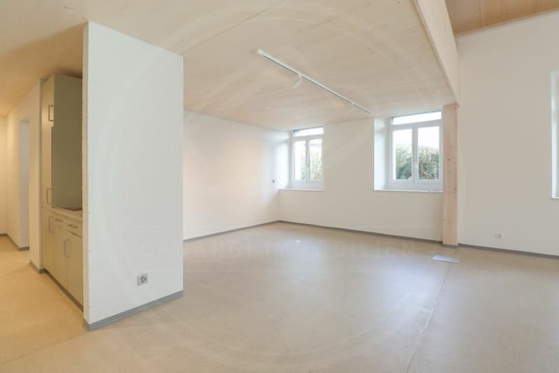 Siège de votre entreprise à Mellingen AG - Espace commercial neuf à louer sur la Reuss (8)