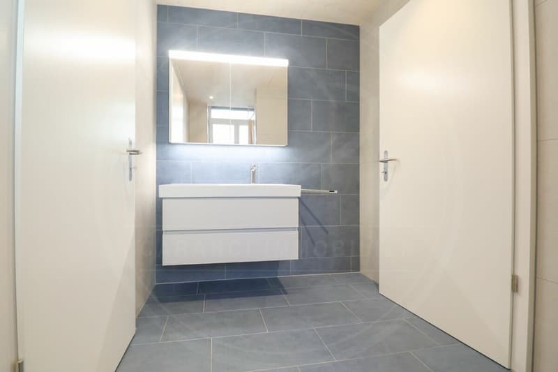 Siège de votre entreprise à Mellingen AG - Espace commercial neuf à louer sur la Reuss (11)