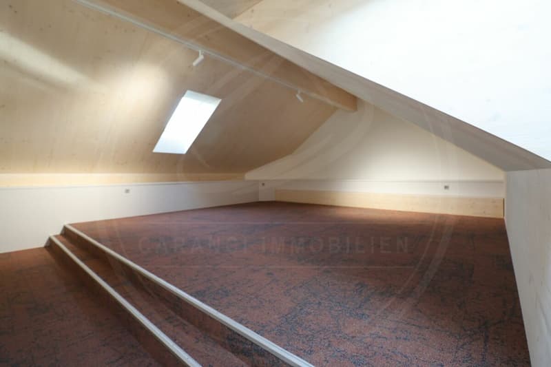 Siège de votre entreprise à Mellingen AG - Espace commercial neuf à louer sur la Reuss (14)