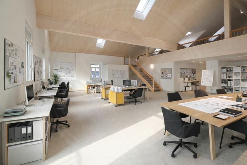 Siège de votre entreprise à Mellingen AG - Espace commercial neuf à louer sur la Reuss (16)