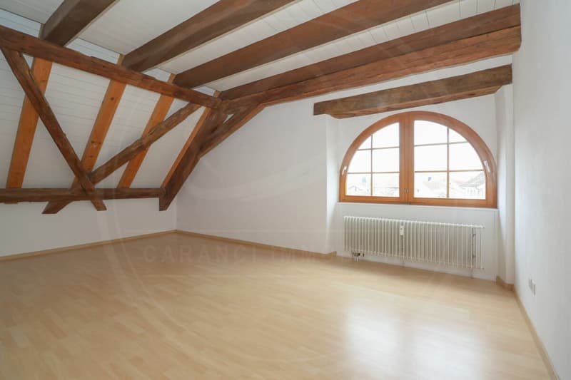 Appartement maisonnette rénové de 5½ pièces dans le « Schlössli » historique de Koblenz à vendre (17)