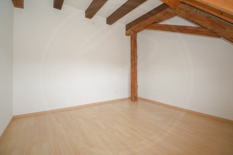Appartement maisonnette rénové de 5½ pièces dans le « Schlössli » historique de Koblenz à vendre (14)