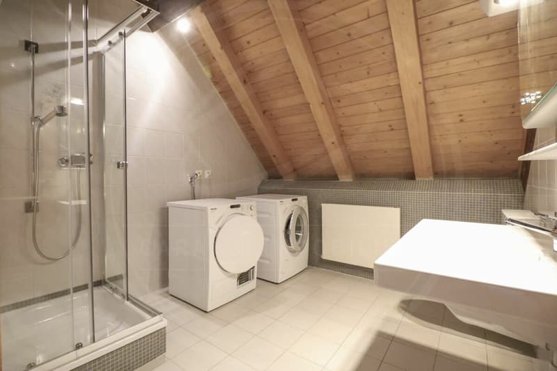 Appartement maisonnette rénové de 5½ pièces dans le « Schlössli » historique de Koblenz à vendre (21)