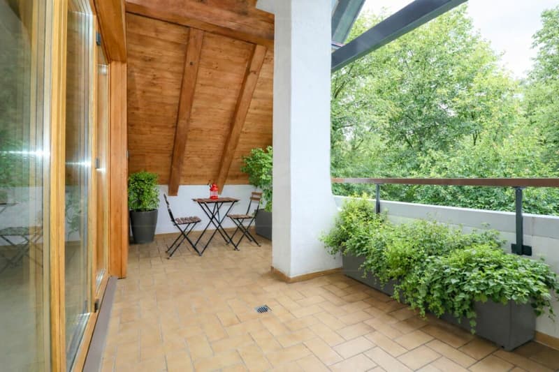 Appartement maisonnette rénové de 5½ pièces dans le « Schlössli » historique de Koblenz à vendre (23)