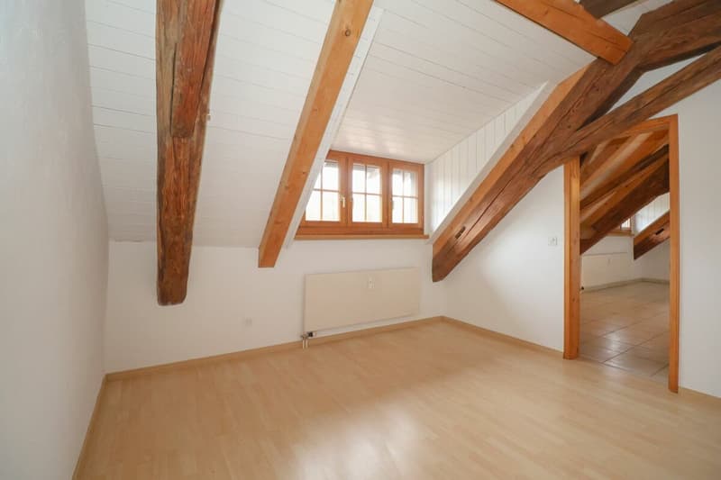 Appartement maisonnette rénové de 5½ pièces dans le « Schlössli » historique de Koblenz à vendre (15)