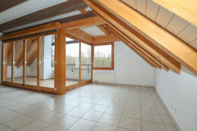 Appartement maisonnette rénové de 5½ pièces dans le « Schlössli » historique de Koblenz à vendre (11)