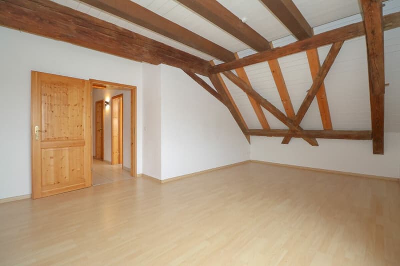 Appartement maisonnette rénové de 5½ pièces dans le « Schlössli » historique de Koblenz à vendre (19)