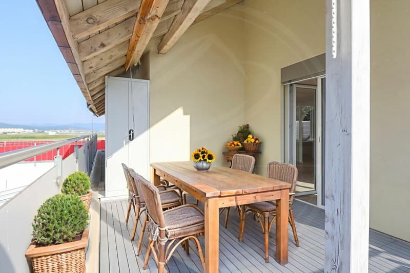 Appartement spacieux 3½ pièces au 1er étage à Birrhard à louer (11)