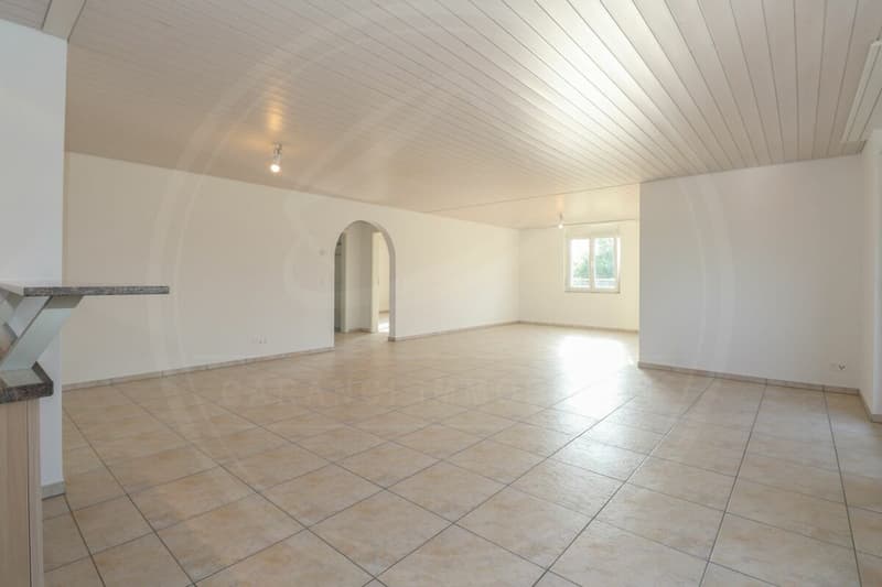 Appartement spacieux 3½ pièces au 1er étage à Birrhard à louer (16)