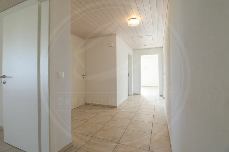 Appartement spacieux 3½ pièces au 1er étage à Birrhard à louer (18)