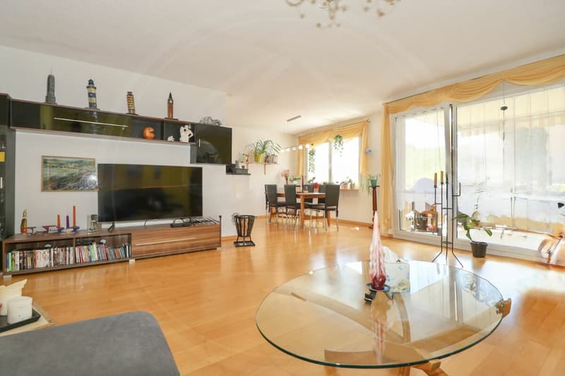RESERVED: Between City & Nature: 5.5-Room Apartment near Baden & Zurich (8)