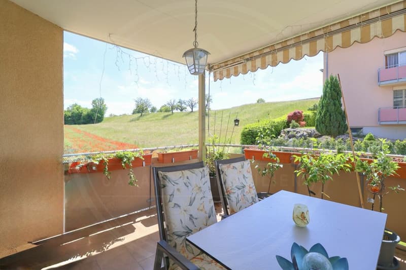 RESERVED: Between City & Nature: 5.5-Room Apartment near Baden & Zurich (10)