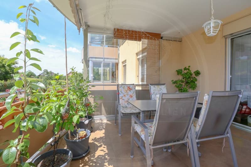 RESERVED: Between City & Nature: 5.5-Room Apartment near Baden & Zurich (9)