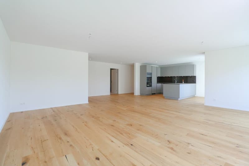RESERVED - First occupancy: Quality of life on Lake Hallwil - Living in Seengen (5)