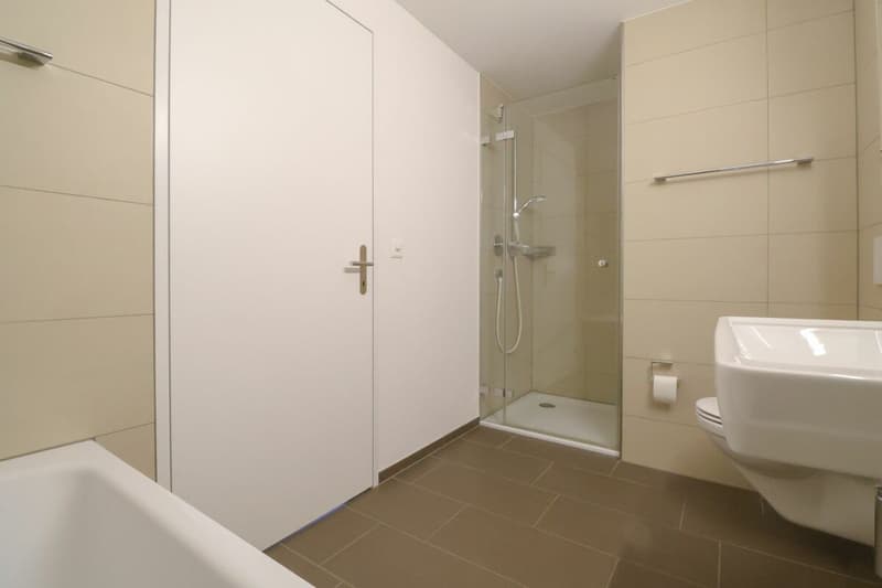 Dachwohnung mit direktem Liftzugang - komfortabel wohnen zwischen Baden und Zürich (10)