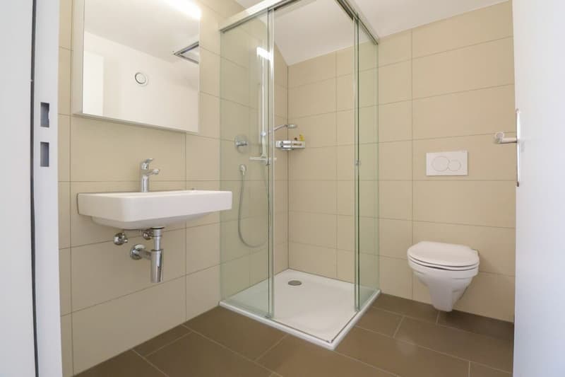 Dachwohnung mit direktem Liftzugang - komfortabel wohnen zwischen Baden und Zürich (12)