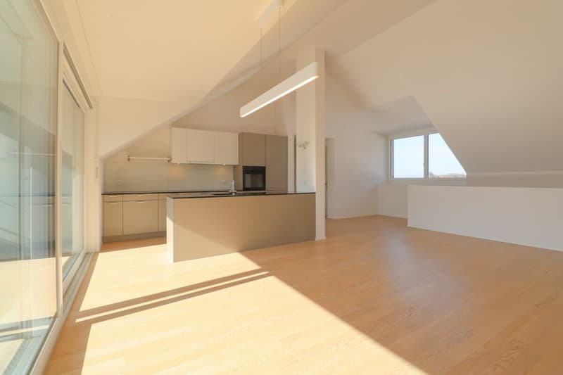 Dachwohnung mit direktem Liftzugang - komfortabel wohnen zwischen Baden und Zürich (3)