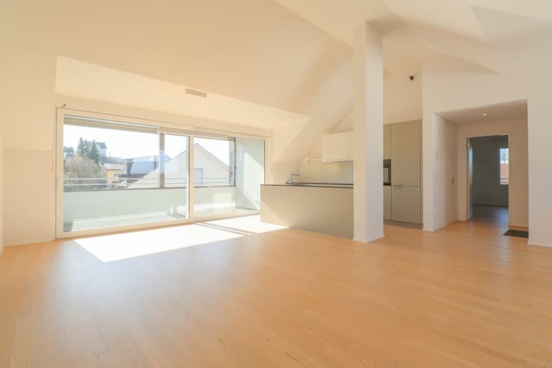 Dachwohnung mit direktem Liftzugang - komfortabel wohnen zwischen Baden und Zürich (2)