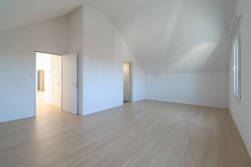 Wohnen mit Komfort: Dachwohnung mit direktem Liftzugang (9)