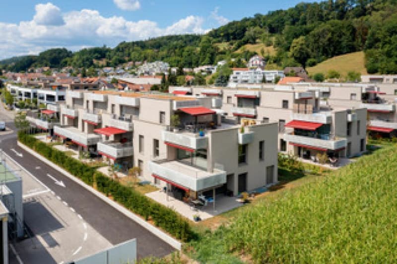 Moderne 2½-Zimmer-Wohnung ab sofort zu vermieten (2)