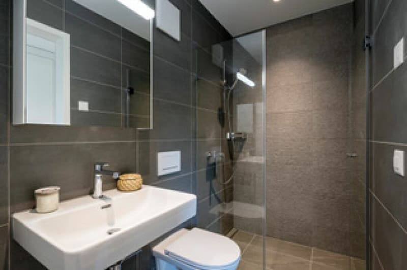 Moderne 2½-Zimmer-Wohnung ab sofort zu vermieten (8)