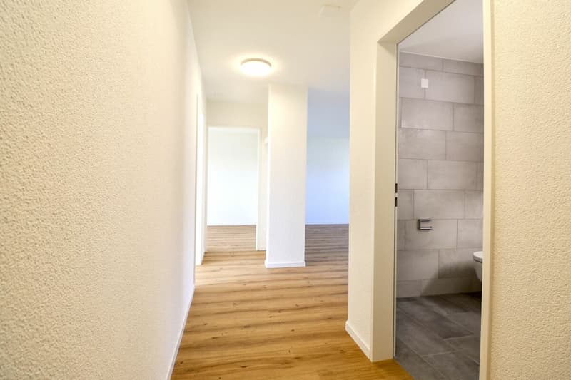 Freshly renovated and bright apartment with balcony for rent in Lupfig (8)