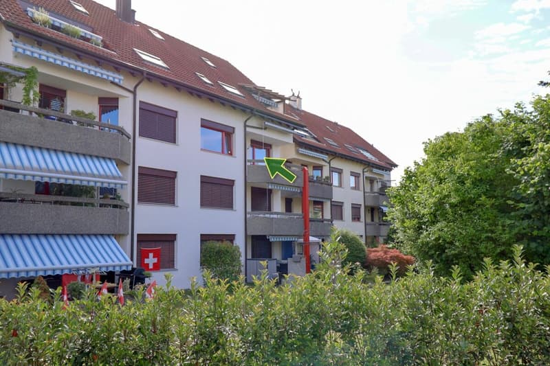 Freshly renovated and bright apartment with balcony for rent in Lupfig (2)