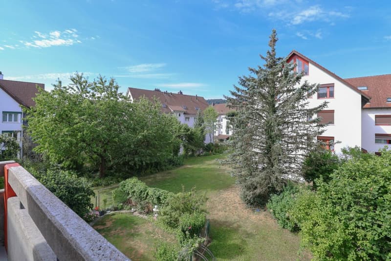 Freshly renovated and bright apartment with balcony for rent in Lupfig (10)