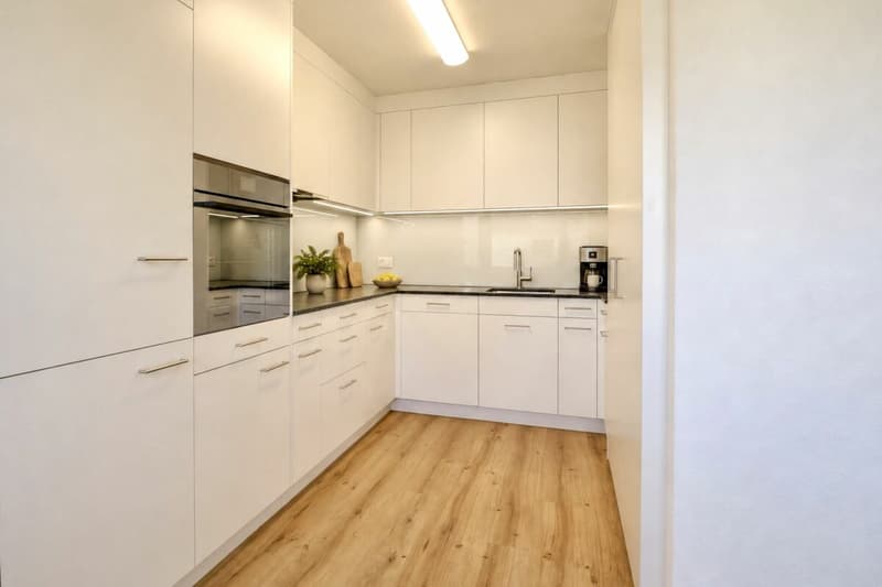Freshly renovated and bright apartment with balcony for rent in Lupfig (3)