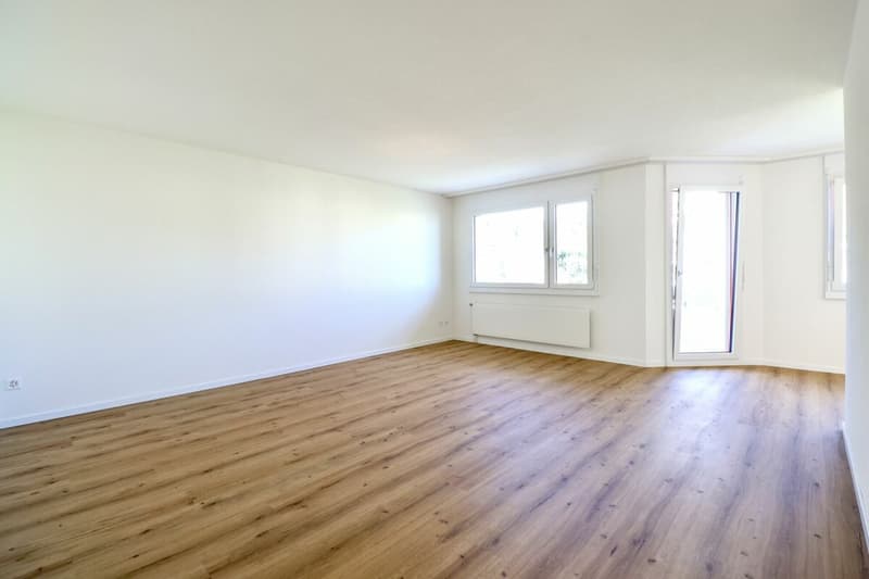 Freshly renovated and bright apartment with balcony for rent in Lupfig (4)