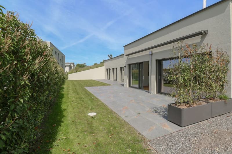 Premier occupation à Seengen - vie moderne près du lac Hallwil (11)