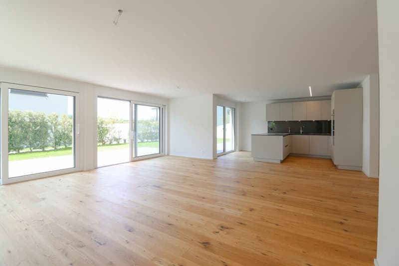 Premier occupation à Seengen - vie moderne près du lac Hallwil (2)