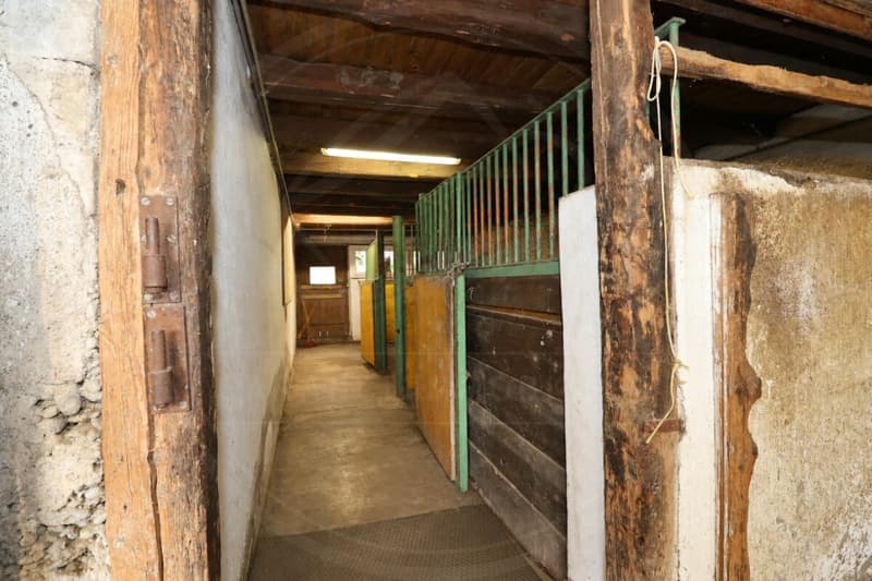 Zweifamilienhaus mit Stall und Landwirtschaftsland in Wettingen (11)