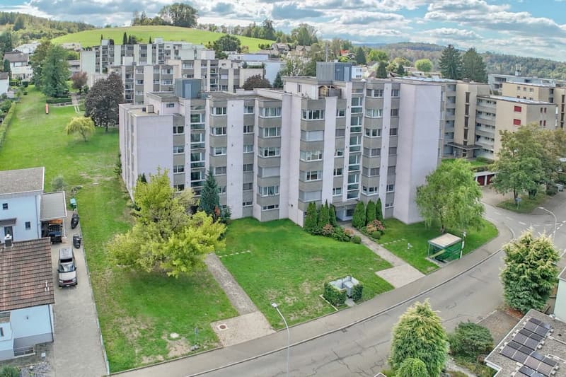 Ankommen und wohlfühlen - renovierte 4-Zimmer-Wohnung in Gebenstorf (1)